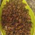 Reeta Sahu का कुकस्नैप जब उन्होंने होममेड चोको चिप्स (Homemade choco chips recipe in hindi) बनाया था।