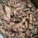 Cooksnap dari Yuke Dian S untuk resep Tumis Ayam Jamur Shitake