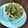 Cooksnap dari Kancil Hup Hup untuk resep Sambal Roa