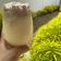 Cooksnap dari Putri Dragon untuk resep Dalgona Milo