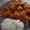 Cooksnap dari Vivi Novy untuk resep Chicken Katsu ala Hokben