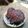 Cooksnap dari Mita.W#MommyFayzel# untuk resep Bolu Caramel Empuk Legit