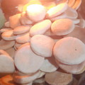 El cooksnap de Pamela Gorosito cuando hizo Galletitas dulces y fácil.
