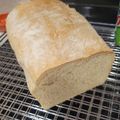 Dani a's cooksnap of when they made Bread Machine White Bead.