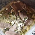 El cooksnap de Val Ardu cuando hizo Lengua a la vinagreta.