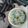 Cooksnap dari Manda Evie untuk resep Bobor bayam jamur