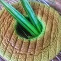 Cooksnap dari Kitia Dewi Arifin untuk resep Bolu Pandan