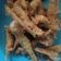 Cooksnap dari Fitriana Arum untuk resep Wader Goreng Crispy