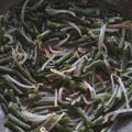 Cooksnap dari kapriana untuk resep #309 Tumis Tauge Kacang Panjang