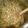 nsteele199106's cooksnap of when they made Shrimp and Spinach Spaghetti Squash in Almond Sauce.