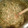 nsteele199106's cooksnap of when they made Shrimp and Spinach Spaghetti Squash in Almond Sauce.