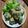 Cooksnap dari Sri Rizki untuk resep Rolade tahu daun singkong