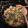 filzen's cooksnap of when they made Shrimp Scampi with Zucchini Noodles.