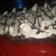 El cooksnap de Johanna Dentti cuando hizo Torta Brownie con Crema con molde de 24 cm.