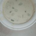 Dap meet kaur का कुकस्नैप जब उन्होंने राइस पायेश (rice payesh recipe in Hindi) बनाया था।