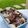 Cooksnap dari Adyanti Putri untuk resep Setup Roti Tawar Coklat