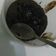 Cooksnap dari Eka Hanif Mustika Sari untuk resep BROWNIES KUKUS COKELAT (serba 4 sdm)