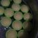 Cooksnap dari Nur Hayati untuk resep Kue Apem Mekar/ Mangkok Mekar Tanpa Tape/ Apam tepung beras