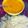 Neha arora's cooksnap of when they made Idli sambar.