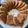 Cooksnap dari Amelia Amko untuk resep Vanilla Sponge Cake
