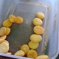Cooksnap dari Dian kumala sari lubis untuk resep Biscuits Lady Finger