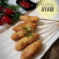 Cooksnap dari vina ghatfan untuk resep Sempol ayam