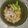 Elyse Rose's cooksnap of when they made Tami's Caldo de Pollo (chicken soup).
