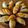El cooksnap de Ana De La Canal cuando hizo Masa de Empanadas casera con grasa - empanada salteña.