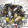 Cooksnap από katerina78 στη συνταγή Μύδια αχνιστά με διάφορα αρωματικά