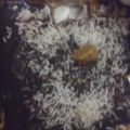 Nancy Morrison's cooksnap of when they made Easy Peesey Peanut Butter Fudge.