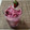 Cooksnap από Cleopatra στη συνταγή Frozen yogurt χωρίς ζάχαρη!♠💜