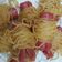 Cooksnap dari Mary untuk resep Sosis Gulung Mie
