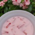 Cooksnap dari nidha nitnot untuk resep Bubur Pacar Cina