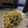 Cooksnap dari Risca Miolo untuk resep Mie burung dara goreng