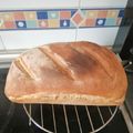 El cooksnap de Marga Delgado Collado cuando hizo Pan de trigo blanco y masa madre de centeno.