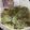 El cooksnap de Fernanda Laborde Reboledo cuando hizo Zucchini a la plancha.