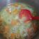 Cooksnap dari Herfina Imandania untuk resep Sayur sop by sm