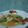 Cooksnap dari Riza Polantary untuk resep Sayur Sup Ayam Non MSG