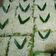 Cooksnap dari Ariesta Widaningrum untuk resep Cake Potong Pandan Keju