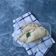Cooksnap dari SiRa_UmmuTsa untuk resep Panada Tongkol