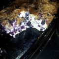 carmelljr2's cooksnap of when they made Blueberry Buckle.