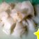 Cooksnap dari Bella untuk resep Burgo Palembang