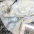 El cooksnap de Rocio Noel Andreoli cuando hizo Filet de merluza en crema de roquefort.