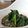 Rébecca Brilvicas's cooksnap of when they made 'Goma-ae' Beans.