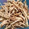 Cooksnap dari putri untuk resep Sistik bawang seledri