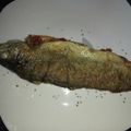 El cooksnap de ANA FERNANDEZ cuando hizo Truchas a la Navarra.