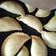El cooksnap de Silvia Arancibia cuando hizo Masa de tapas de empanada criolla.