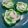 Cooksnap dari April Scott untuk resep Kue Talam Pandan Tepung Beras