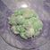 Cooksnap dari @istissusanto untuk resep Klepon / Onde-onde
