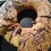 Cooksnap dari Ratna Herniwati untuk resep Marmer cake Lembut